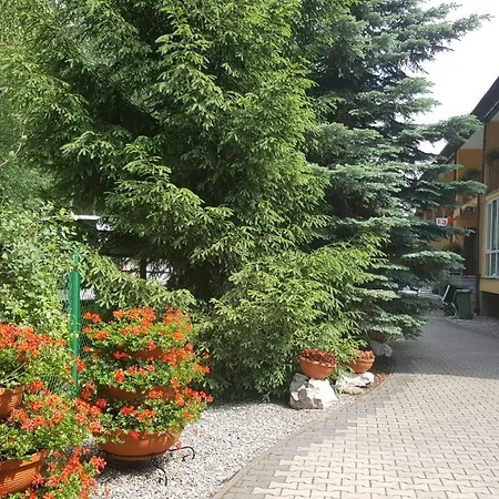 Hotel Dom Wczasowy Brido